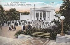 CALIFORNIA - San Francisco - L'acquario Steinhart