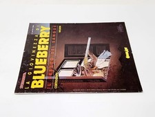 fumetto Blueberry Comic Art