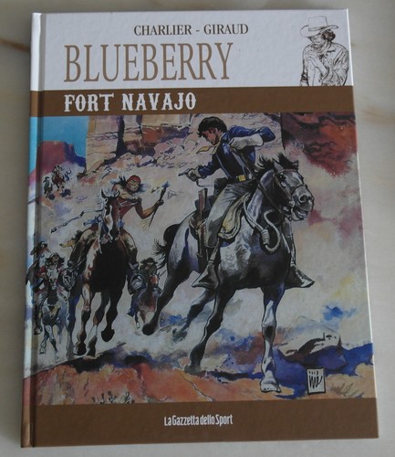 Blueberry fort navajo - blueberry,
