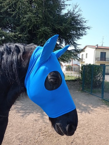 Maschera cavallo lycra - cavallo, in