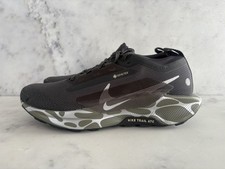 Nike Pegasus Trail 5 GORE-TEX