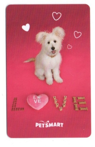 Petsmart cute puppy - cute,