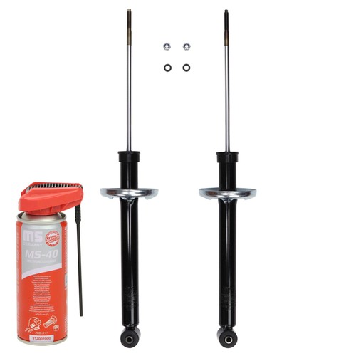 Ammortizzatori posteriore - 2x, +