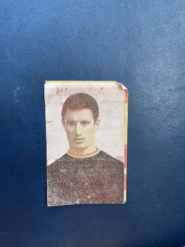 Figurina calciatori nuzzi - figurina,