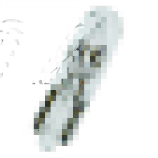 Lampadina Osram 1,2 Watt