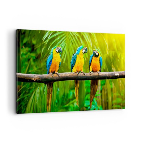 Quadro tela 120x80cm - quadro,