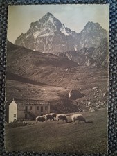 Cartolina Monviso Pian Del Re