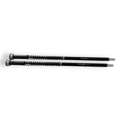 Andreani kit cartucce forcella - andreani,