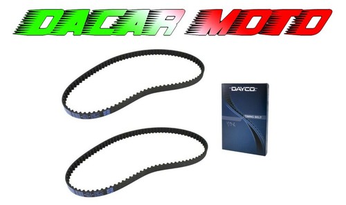 Coppia cinghie distribuzione - cinghie,