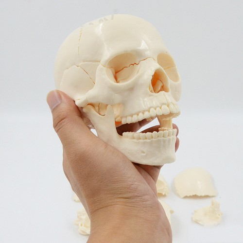 Mini scienza medica 2 - mini,