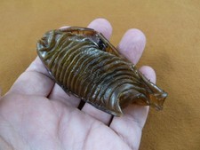 (s800-190) Custodia per uova