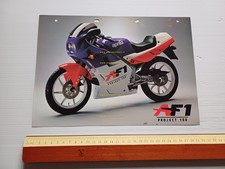 Aprilia AF1 50 Project 108