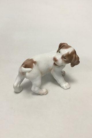 Figura del cucciolo - di, pointer
