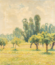 GIGI COMOLLI - NUBI E SOLE -