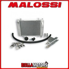 7115506 radiatore malossi mhr - 7115506,