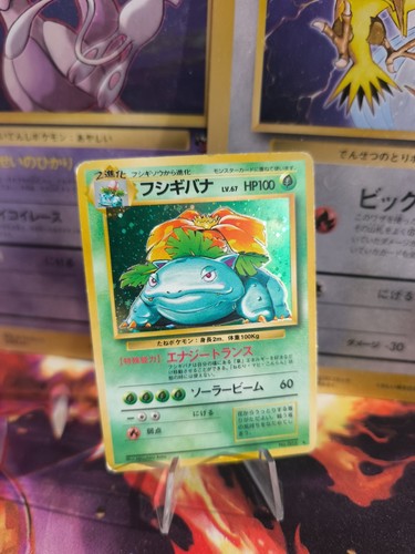 Carta pokemon card - pokemon, bisaflor