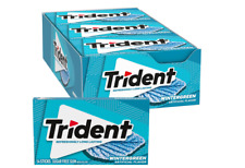 Trident Wintergreen Gomma