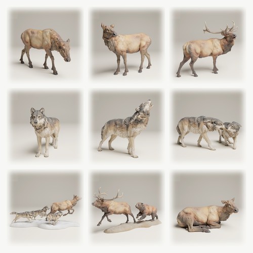 Animali nord america - nord, set