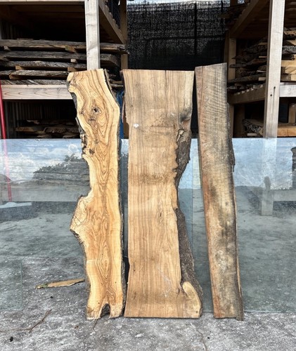 Tavole legno ulivo 3 - legno, di