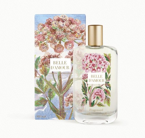Belle amour fragonard - d’amour,