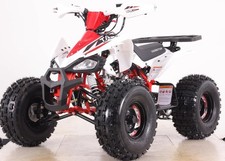 Quad cheetah 125cc Ruota 8