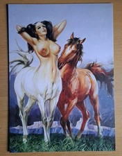 MAGHELLA Couverture N° 34