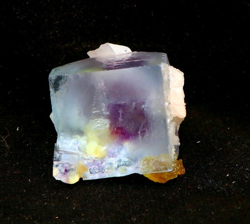 Fantasma blu viola naturale