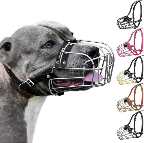 Bronzedog pitbull museruola - pitbull,