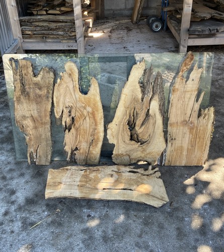 Tavole legno ulivo - di,