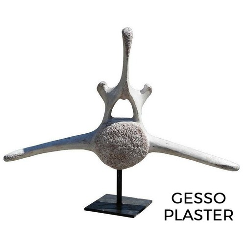 Vertebra grande balena - grande,