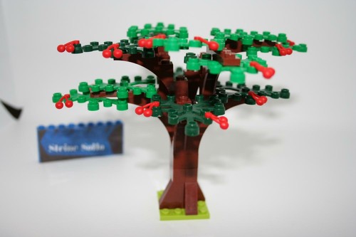 Lego ciliegio estate - estate,