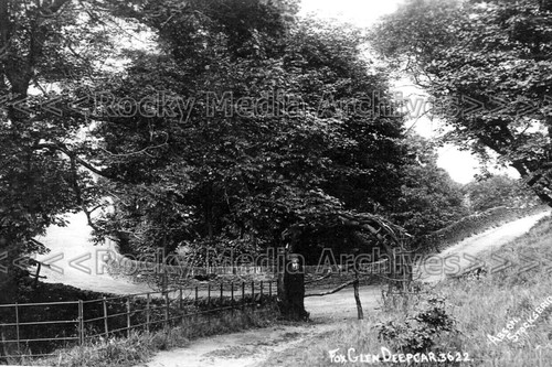 Bss fox glen deepcar - bss-19, glen,