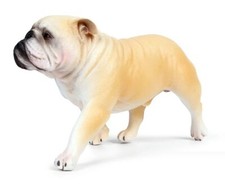 Bulldog arancione cane animale