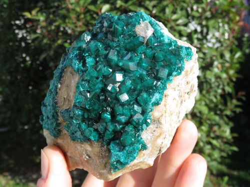 Minerali grande dioptasio - minerali, ***