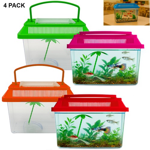 Mini acquario - 4,