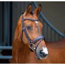 Lusso Dressage Flash Bridle