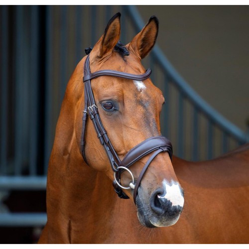 Lusso dressage flash briglia - lusso,