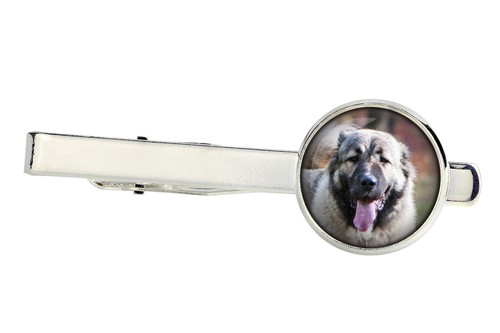 Cane pastore del - da,
