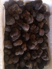 100 tartufo nero estivo - tartufo,