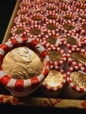 Penny centesimo scudo Lincoln