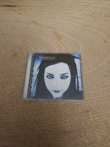 Evanescence fallen nice - evanescence,