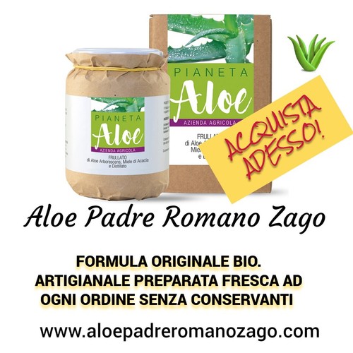 Aloe zago - aloe,