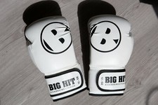 guanti da kickboxing di Big