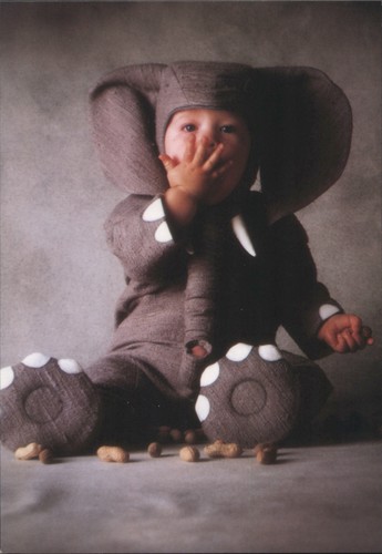 Costume elefante bambino tom - elefante,