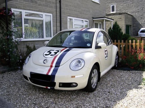 Kit decorativo herbie cox - kit,