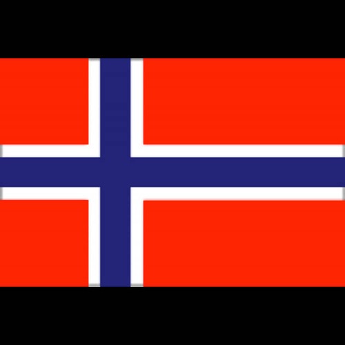 Bandiera norvegia 20x30 - bandiera,