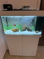 acquario Juwel 125 Litri Con Mobiletto
