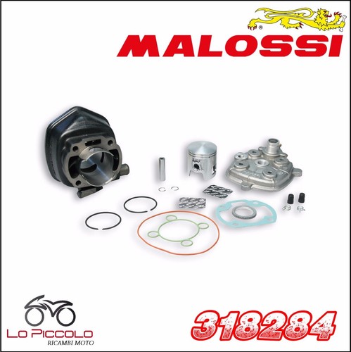 Gruppo termico malossi - termico,
