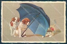 Animali Metlicovitz cane caccia cucciolo gatto Degami 587 cartolina TW1366