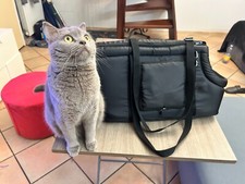 TRASPORTINO BORSA CANI E GATTI NERA IMBOTTITA TIPO PILE IMPERMEABILE COME NUOVO